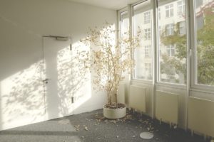 Hitzeschutz an einem Fenster, schützt Zimmerpflanzen effektiv vor Austrocknung durch starke Sonneneinstrahlung und trägt zur Erhaltung ihrer Gesundheit bei.